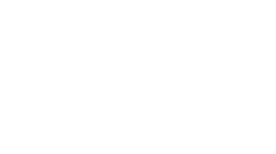 Lad's Exterior Services Light Logo in footer